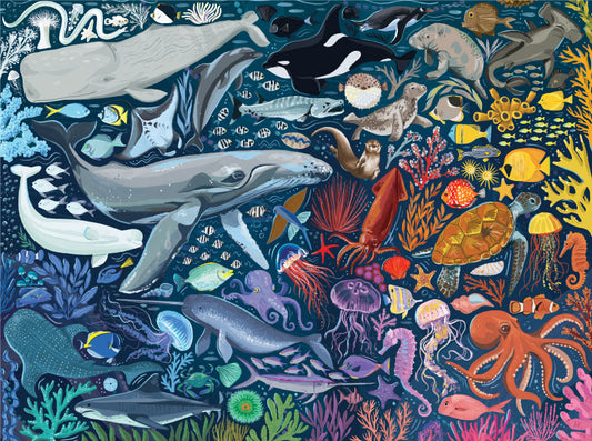 Ocean Creatures 1000 Pc Puzzle